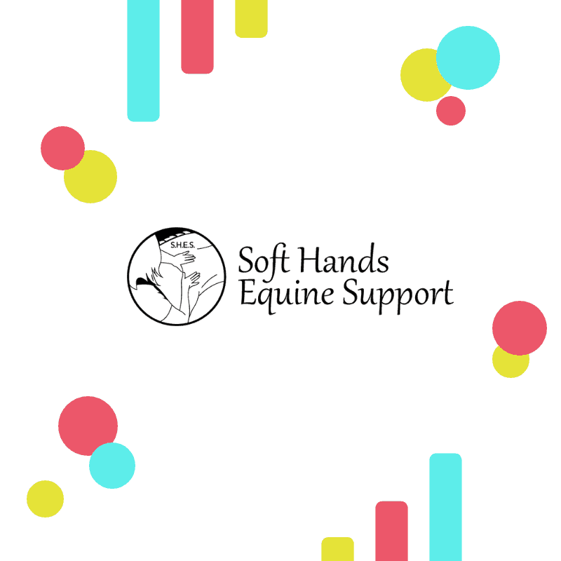 Soft Hands Equine Support